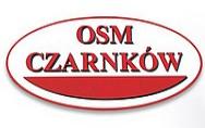 logo firmy